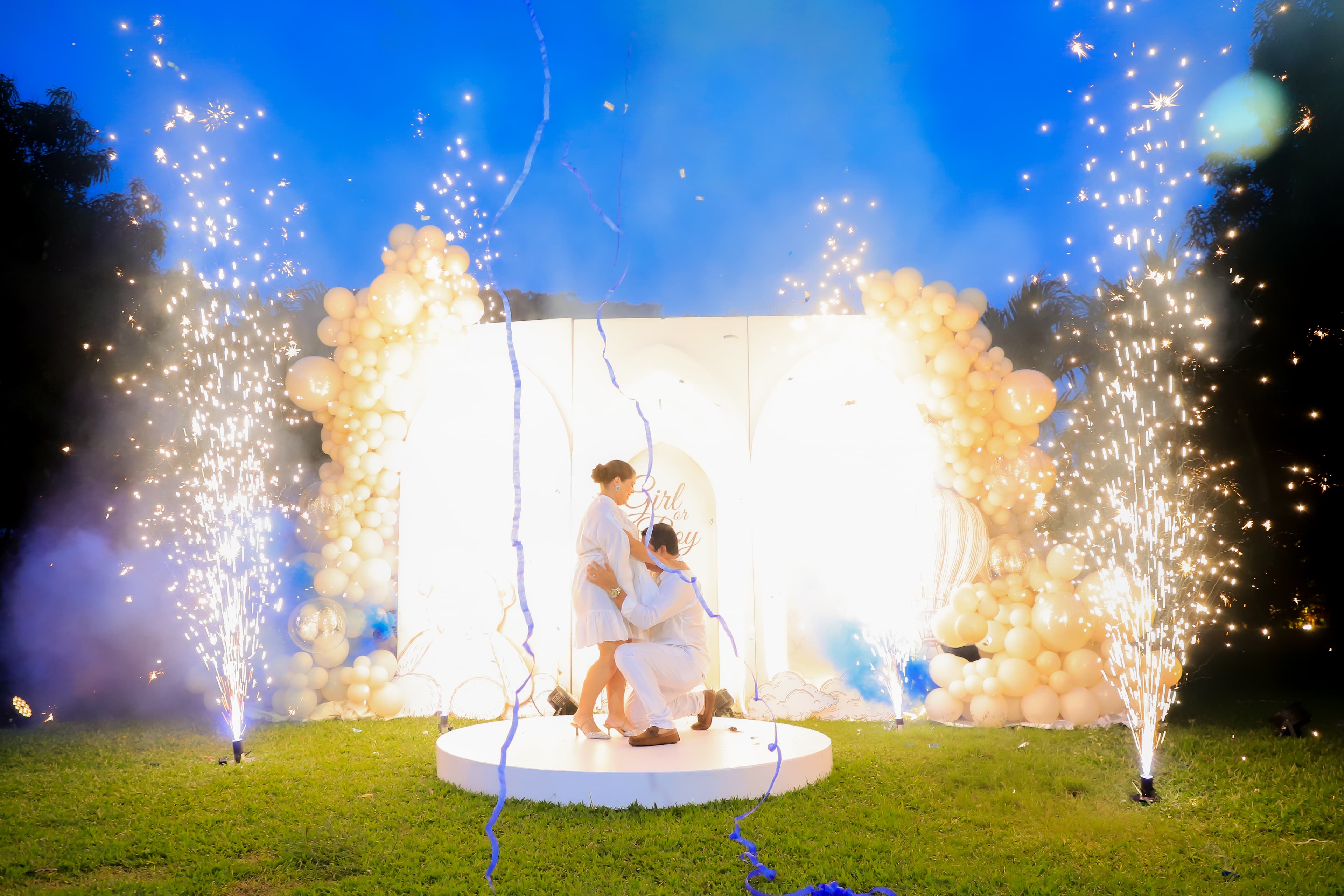 🎉 Revelaciones de Género